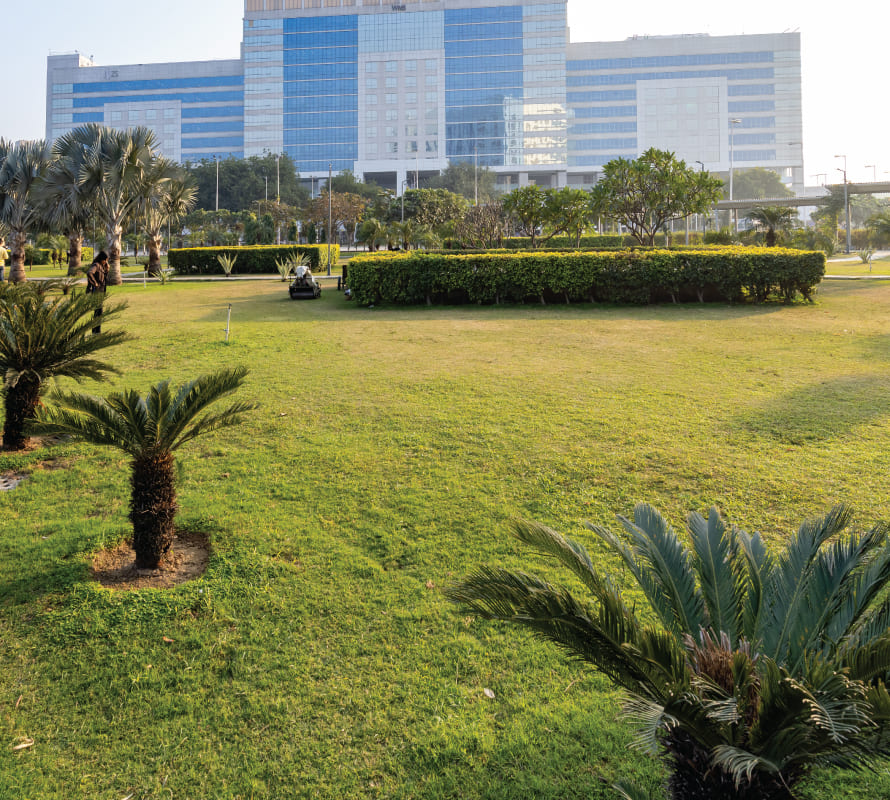 Landscaped campus lawn with tower in background